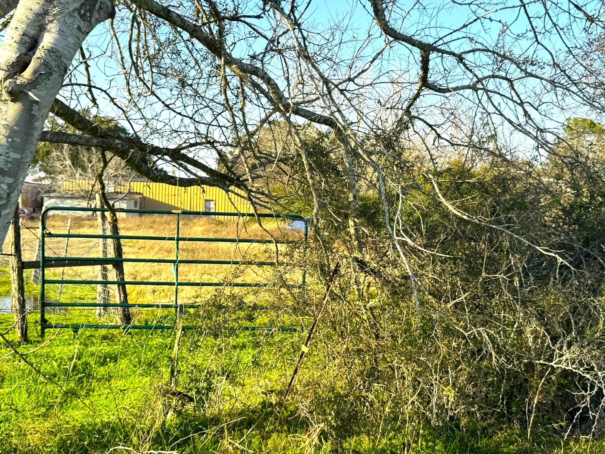 1103 Highway 59 Edna, TX 77957 - Photo 25 of 26 a view of outdoor space with a tree