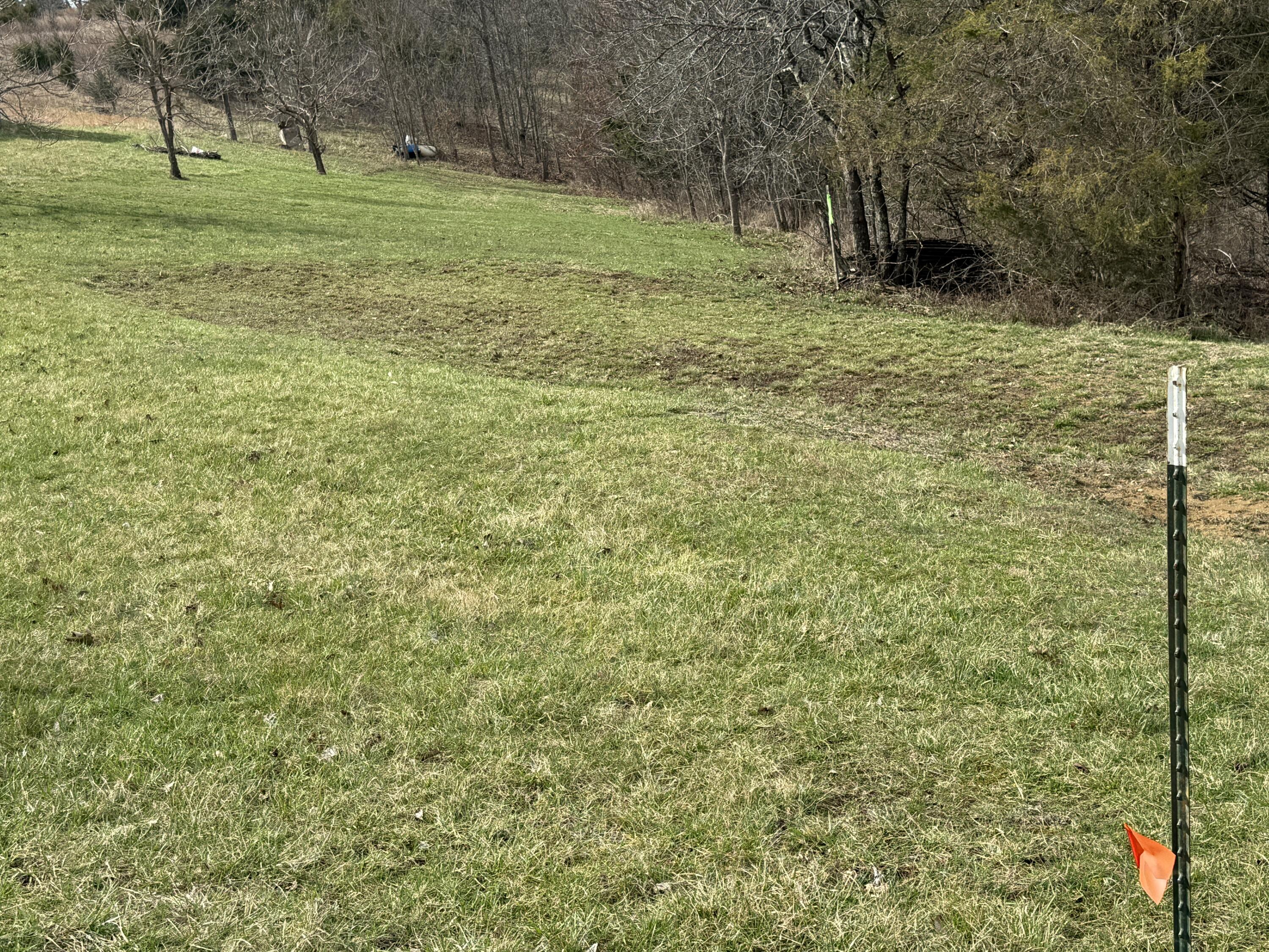 0 Mattox Road Falmouth, KY 41040 - Photo 9 of 19