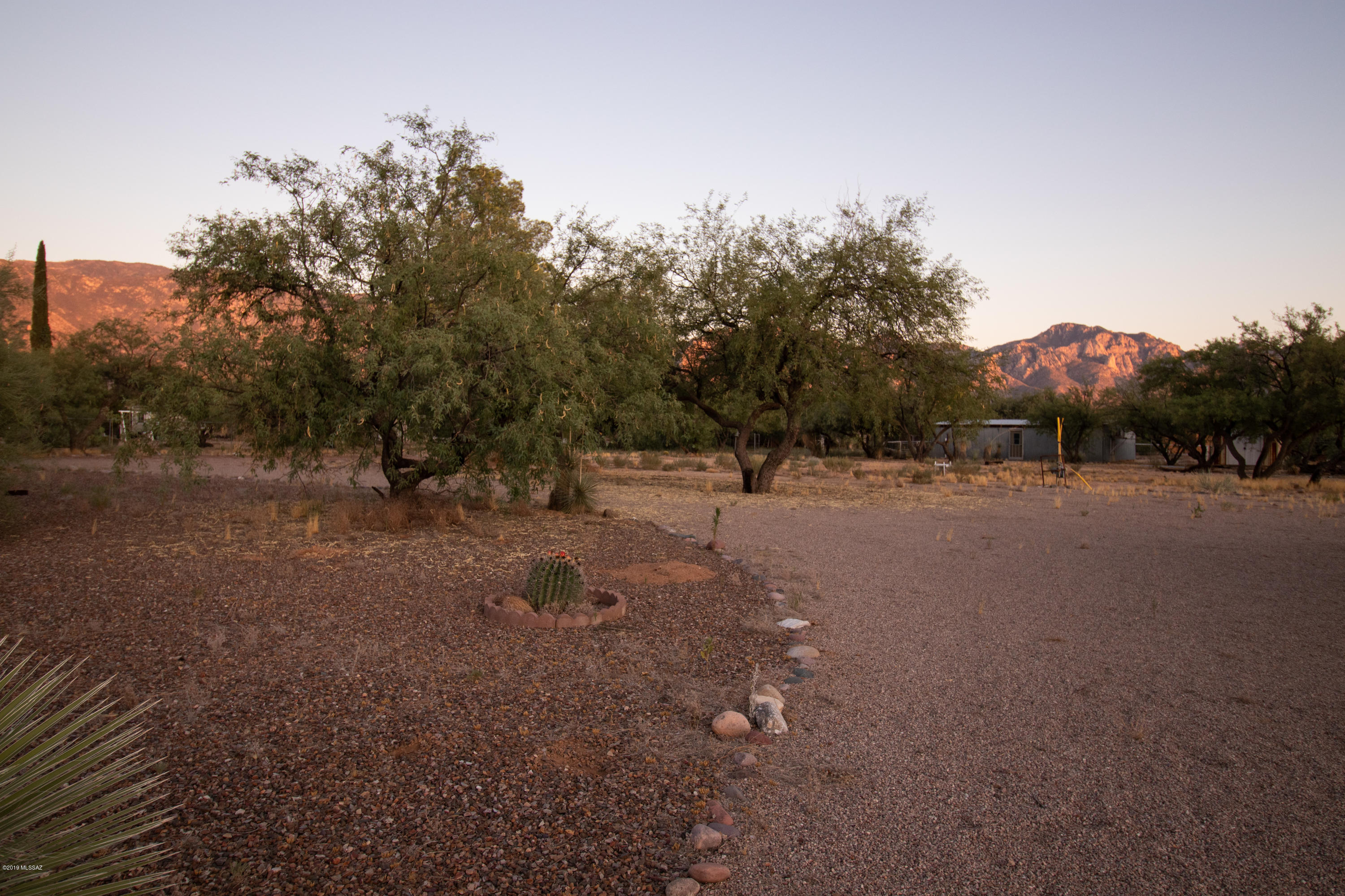 3950 East Wilds Road Tucson, AZ 85739 - Photo 3 of 15