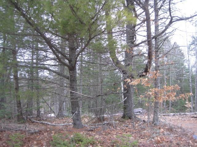 Lot 20 Cardville Road Greenbush, ME 04418 - Photo 4 of 4 Photo