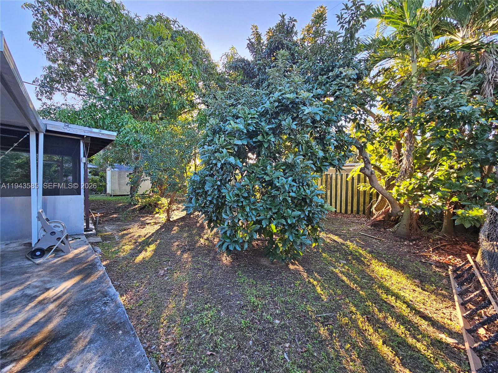 9940 Southwest 162nd Street Miami, FL 33157 - Photo 17 of 21 a view of a backyard with large trees and wooden fence