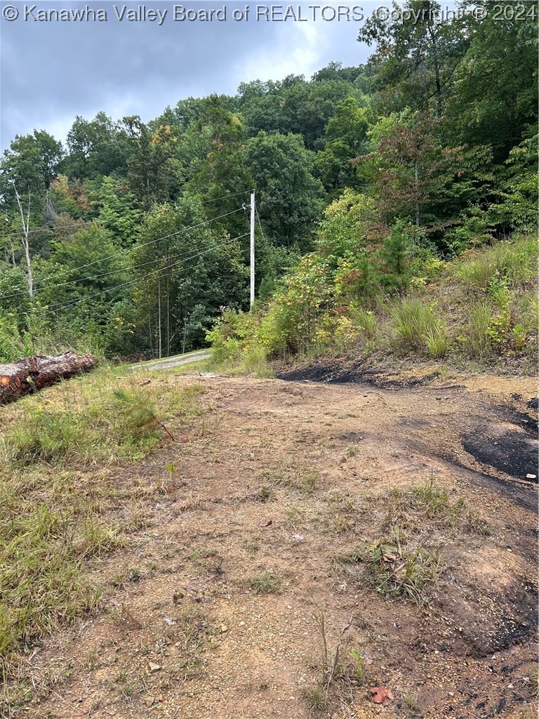 Lot 6 Foster Road Foster, WV 25081 - Photo 9 of 9 Gallery Image 9