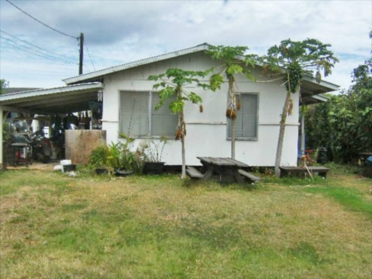 4586 Mamane Street Kapaa, HI 96746 - Photo 1 of 4 a backyard of a house with potted plants and a tree