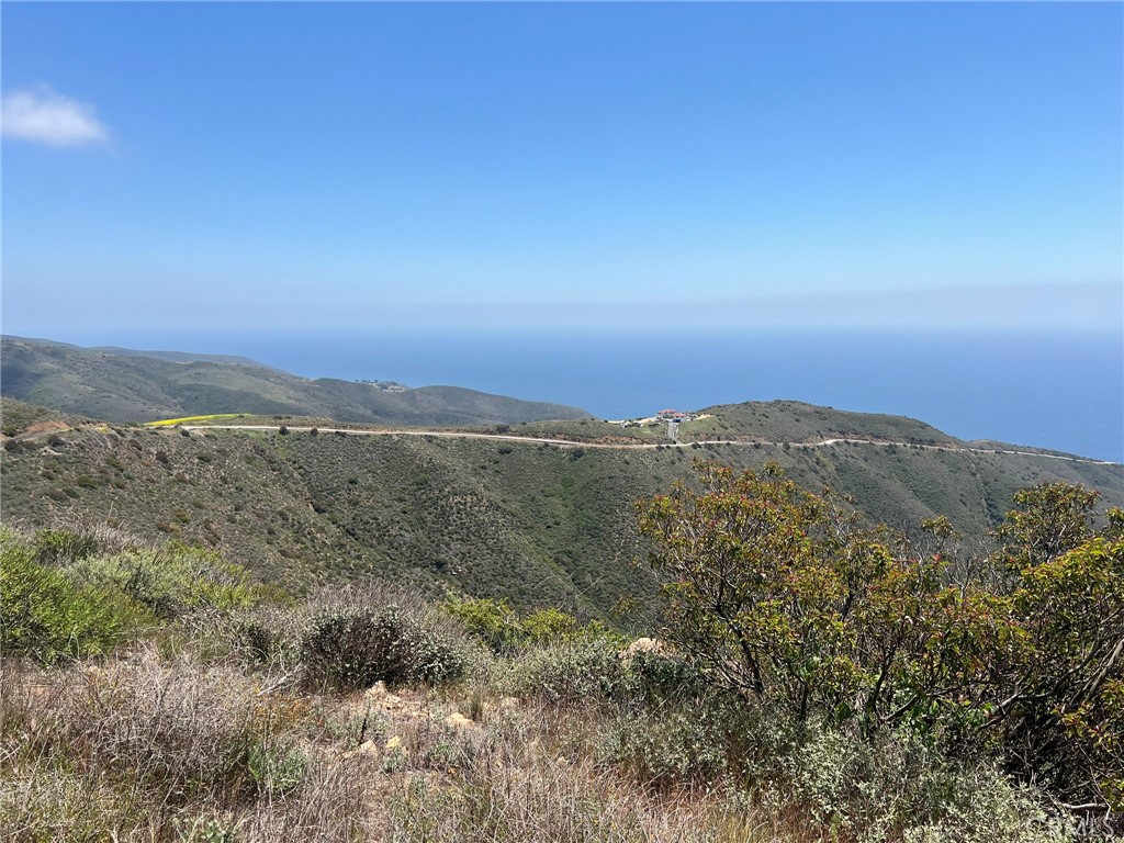 9533 Deer Creek Road Malibu, CA 90265 - Photo 13 of 29 an aerial view of residential houses with outdoor space and trees