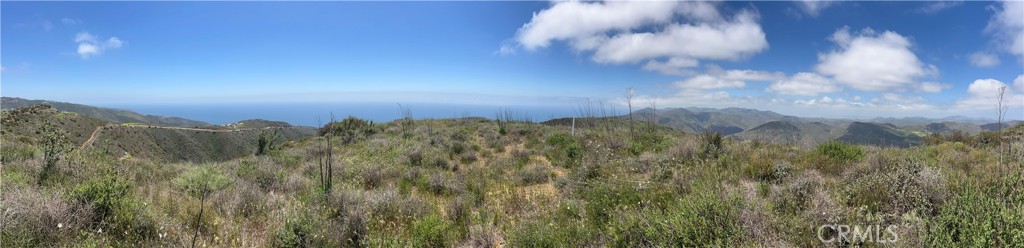 9533 Deer Creek Road Malibu, CA 90265 - Photo 17 of 29 a view of a city with lush green forest
