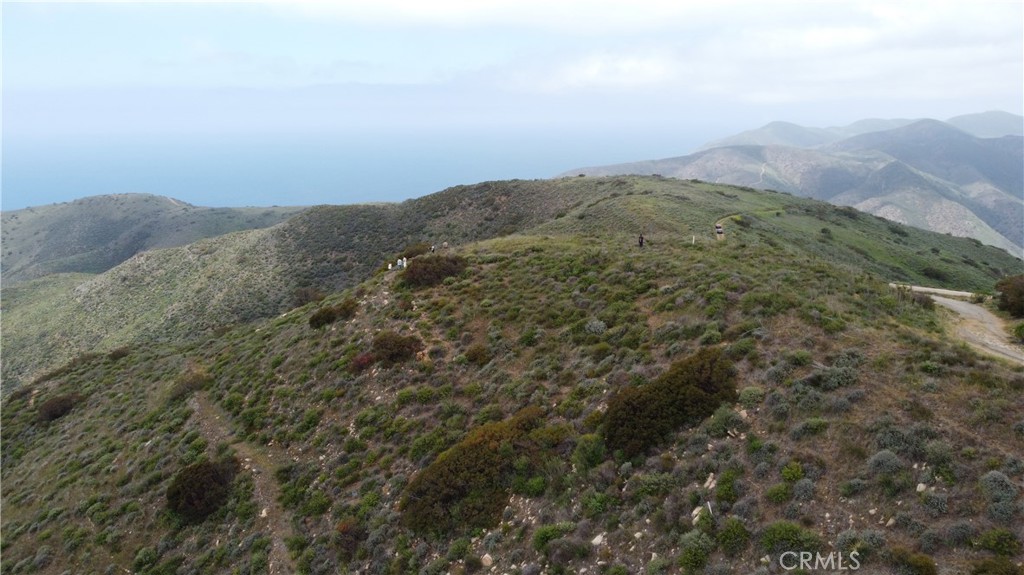 9533 Deer Creek Road Malibu, CA 90265 - Photo 23 of 29 a view of a dry yard