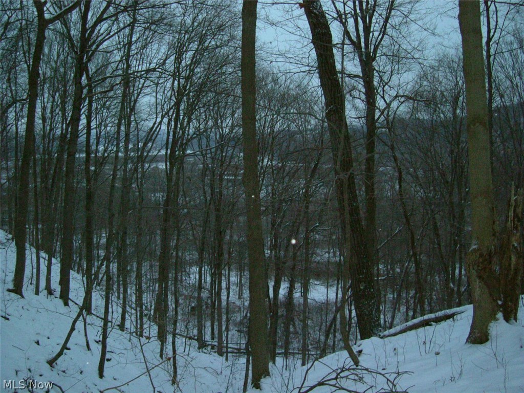 9835 Jackman Road Negley, OH 44441 - Photo 3 of 12