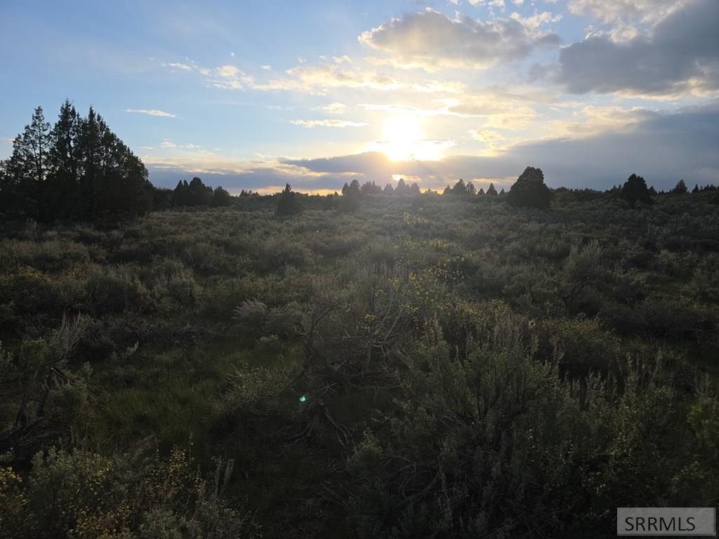 Tbd 40-ac Tbd 40-ac Arcadia Road Ashton, ID 83420 - Photo 32 of 43