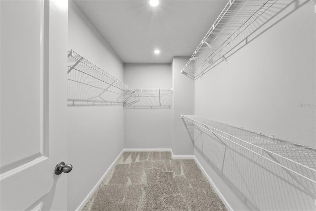 4366 Cloud Hopper Way Lutz, FL 33559 - Photo 16 of 28