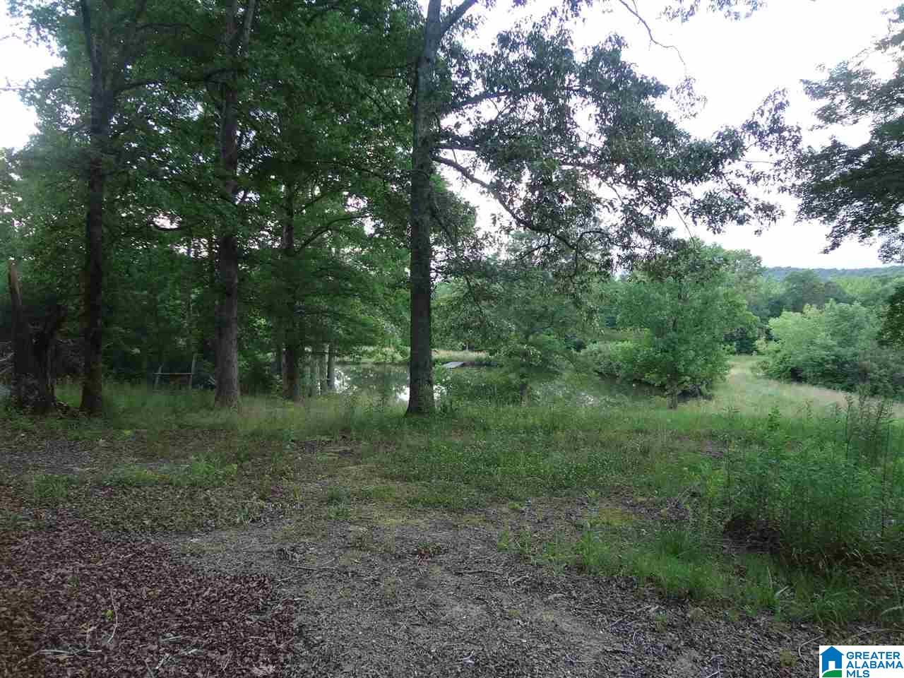 225 Pleasant Hills Road Odenville, AL 35120 - Photo 27 of 42