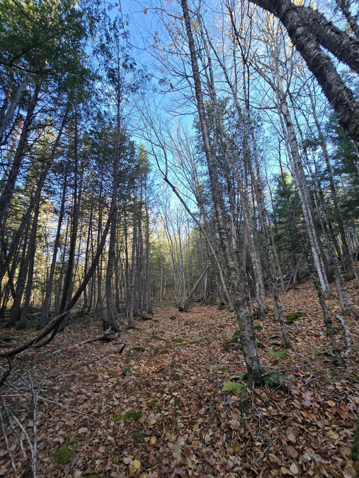 53 Back Road Abbot, ME 04406 - Photo 18 of 73 20251017_092327