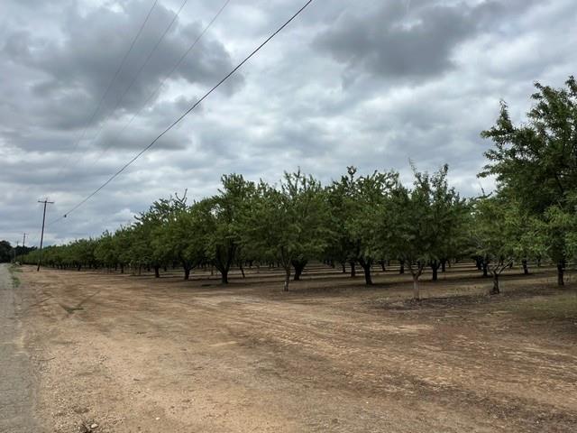 0 Berry Road Rio Oso, CA 95674 - Photo 8 of 11