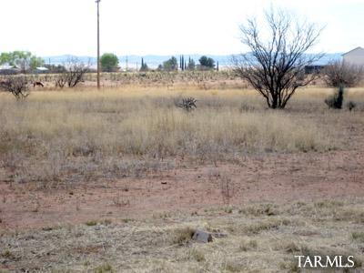 28021 Wagon Rim Road South Elgin, AZ 85611 - Photo 13 of 13 Gallery Image 13