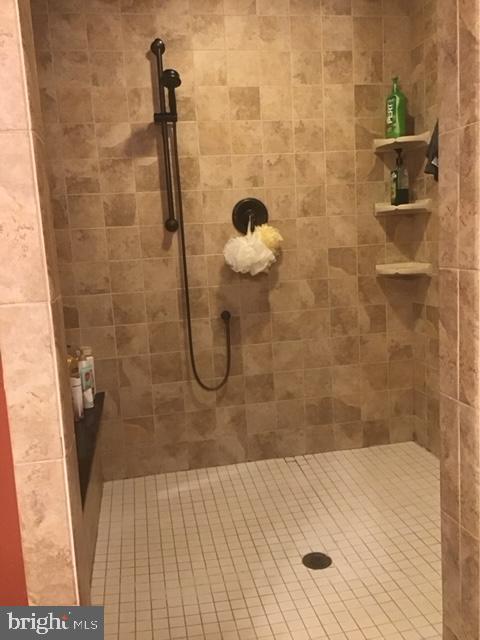 646 Saddle Road Palmyra, PA 17078 - Photo 17 of 18 Huge walk in shower Master Bath