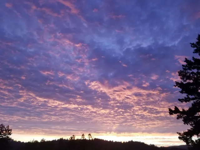 $799,000 | 646 Blue Ridge Drive, Boulder Creek, CA 95006