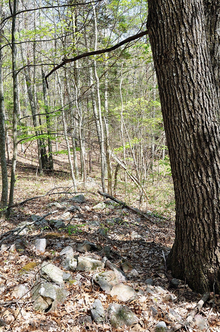 100 Baker Mountain Road Union, WV 24983 - Photo 24 of 52 Gallery Image 24