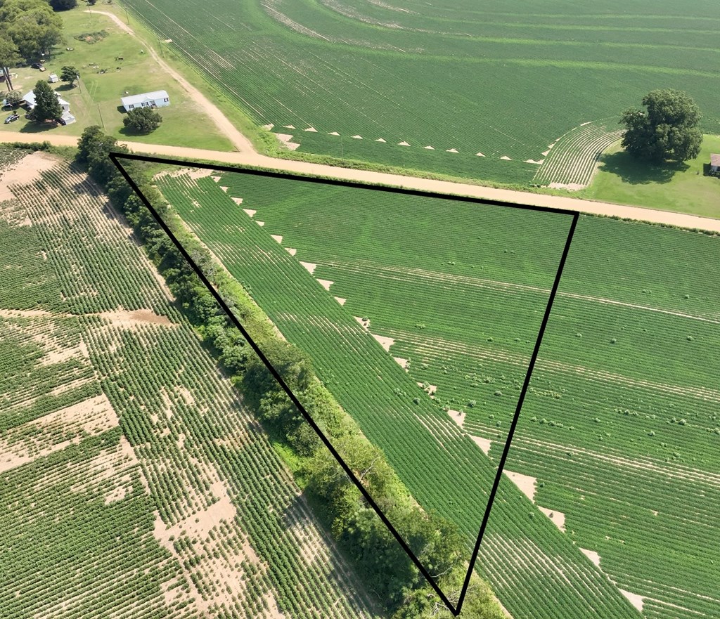 2.3-acres Burdeshaw Road Dothan, AL 36301 - Photo 6 of 7