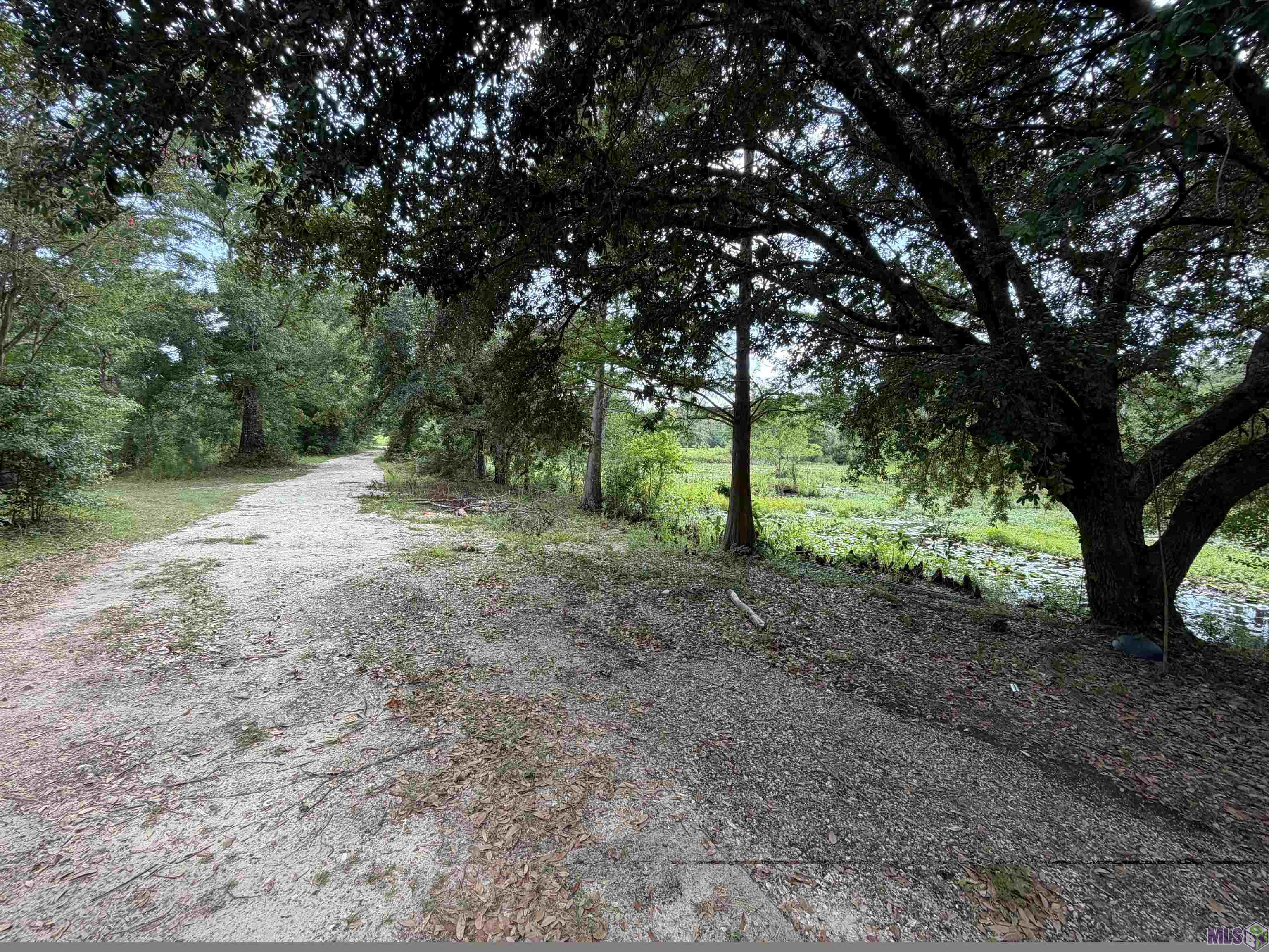 Tbd Tbd Brickyard Road Springfield, LA 70462 - Photo 2 of 8 Gallery Image 2