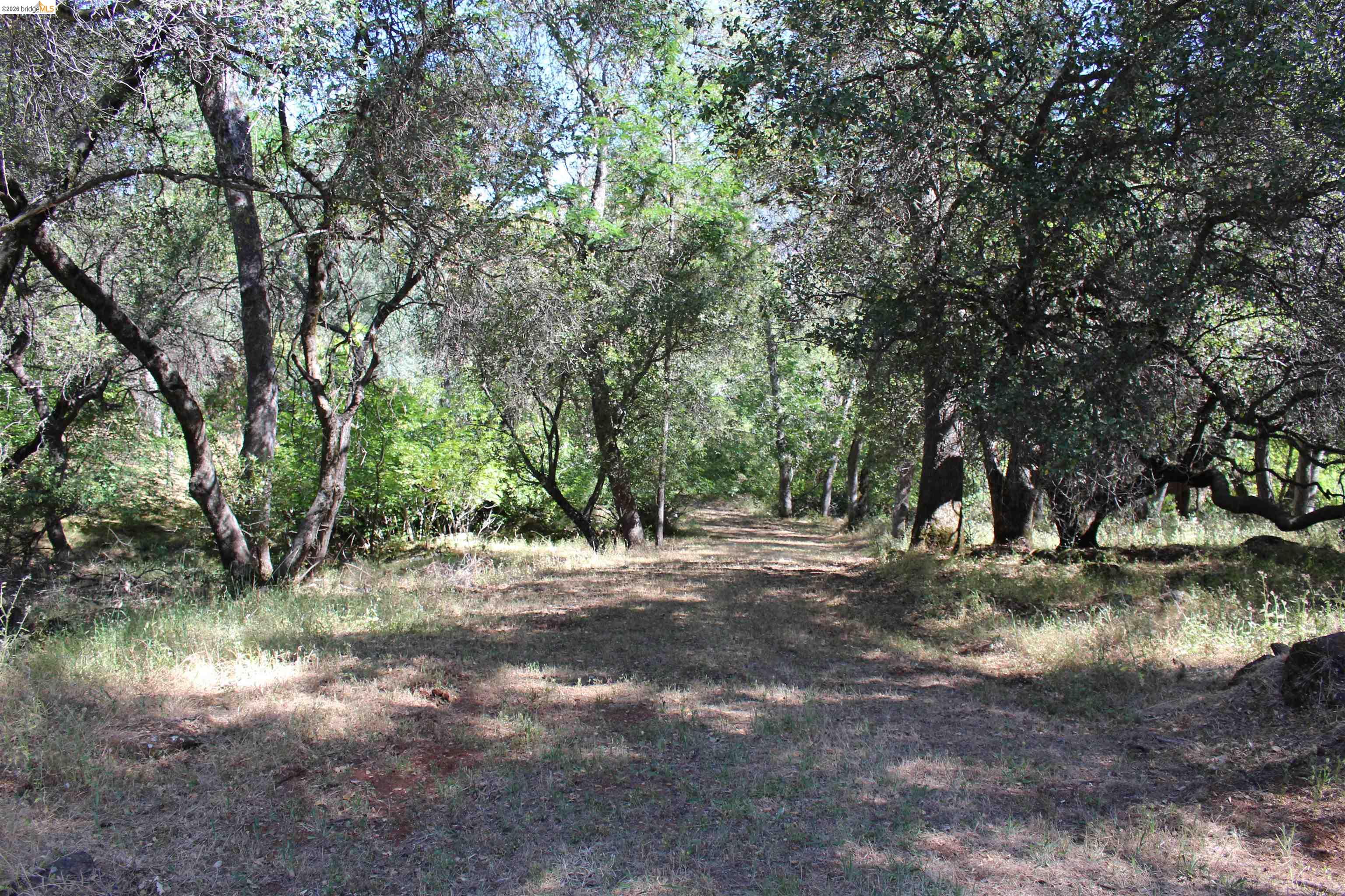 12000 Cattle Drive Trail Columbia, CA 95310 - Photo 4 of 24
