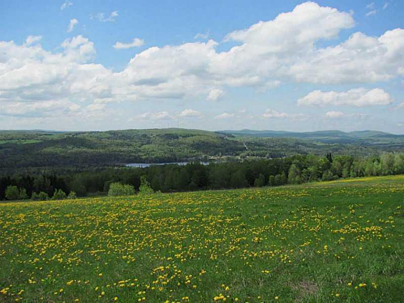 596 New Canada Road Fort Kent, ME 04743 - Photo 16 of 35 Land. Wooded acres have been uncut...