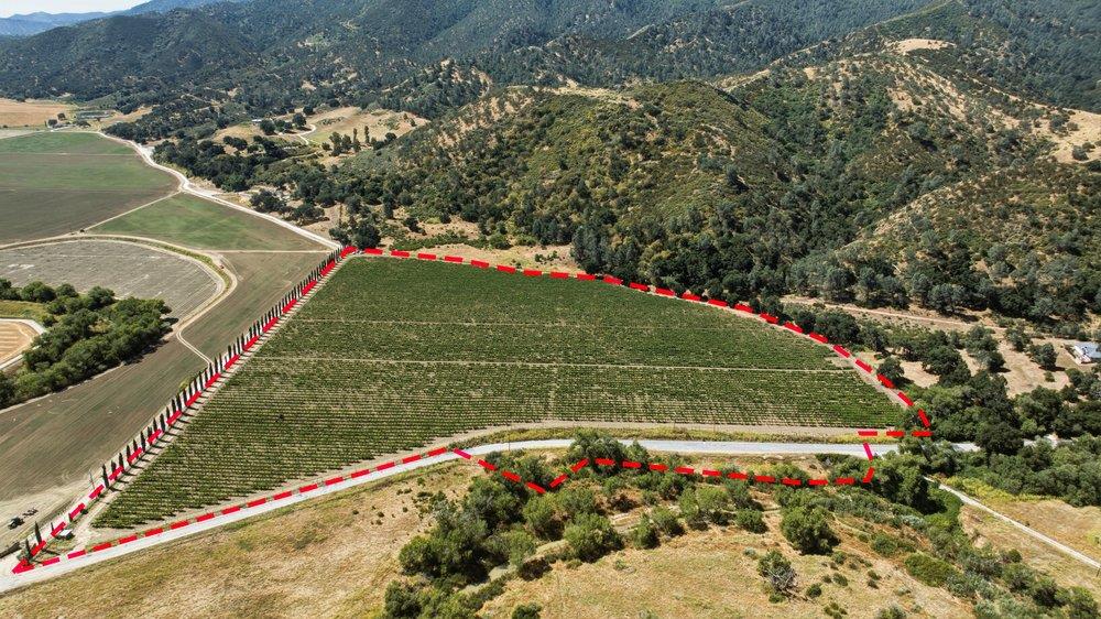 24.5-acres Cienega Road Paicines, CA 95043 - Photo 2 of 38