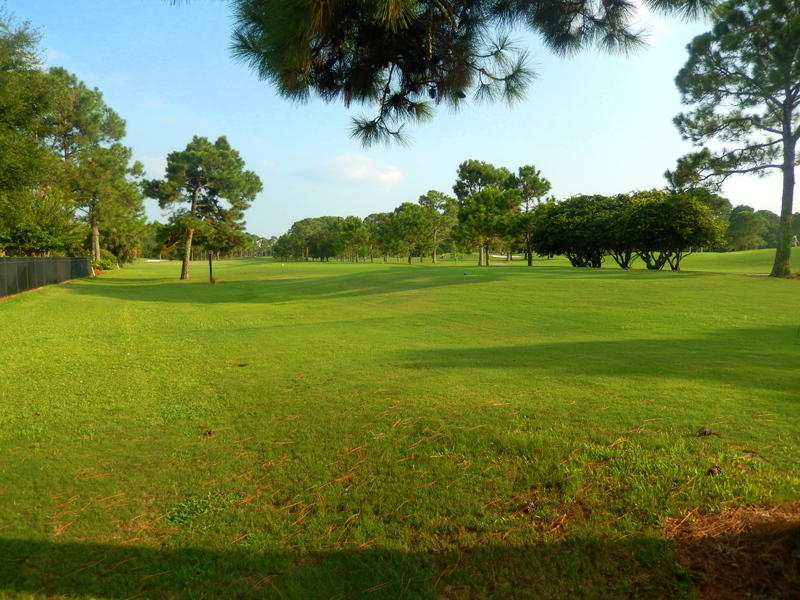 8 Weekewachee Circle Destin, FL 32541 - Photo 25 of 26 a view of a grassy field with trees