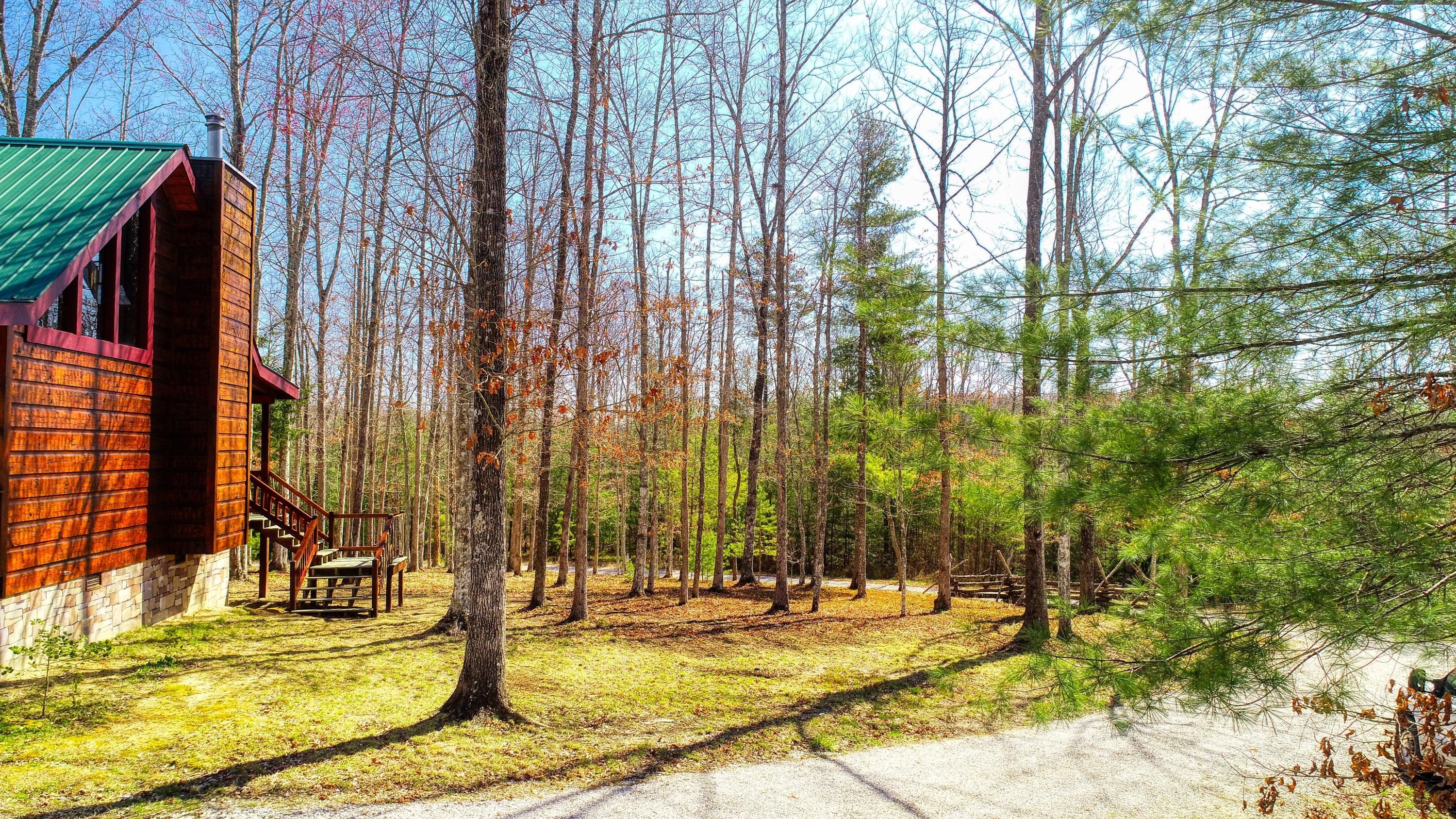 31 Bluff View Road Allardt, TN 38504 - Photo 36 of 39 DJI_0285