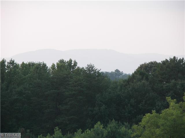 350 Welch Road Mount Airy, NC 27030 - Photo 11 of 12 View.