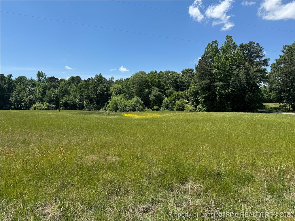 0 Pea Ridge Road New Hill, NC 27562 - Photo 1 of 5 Gallery Image 1
