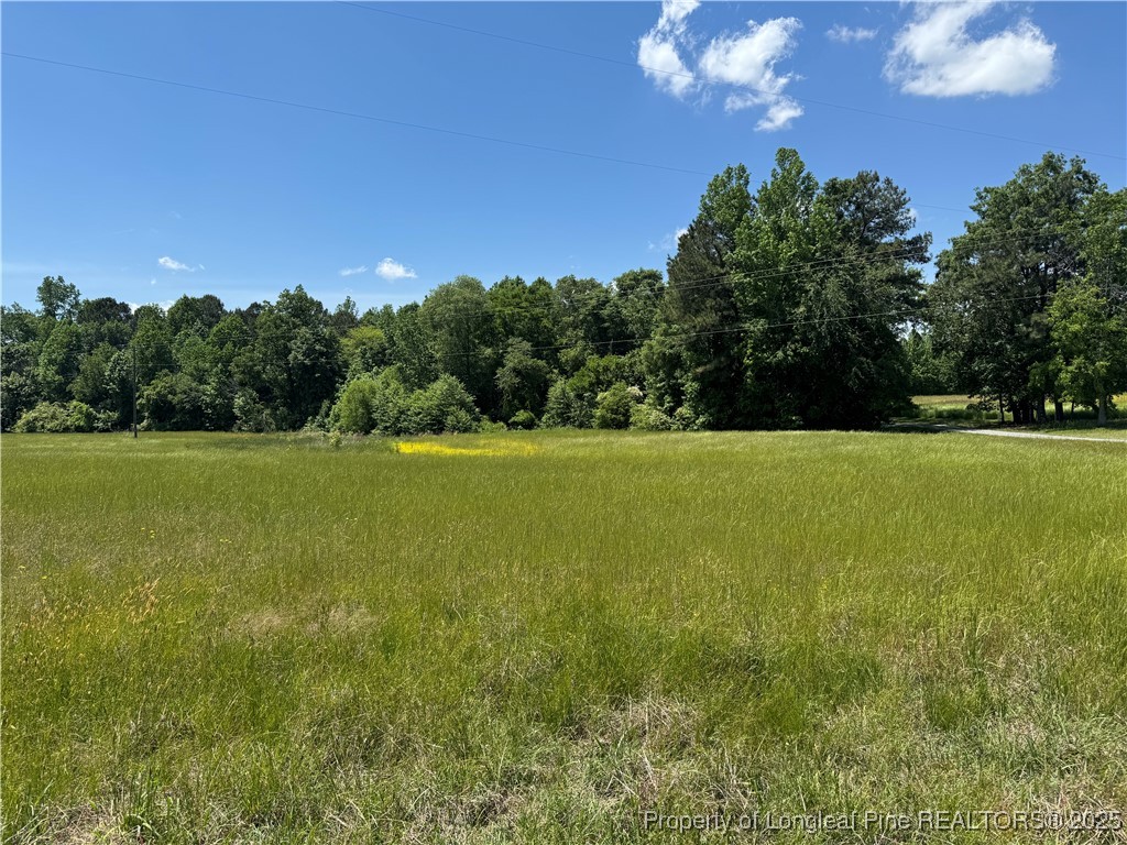0 Pea Ridge Road New Hill, NC 27562 - Photo 2 of 5 Gallery Image 2