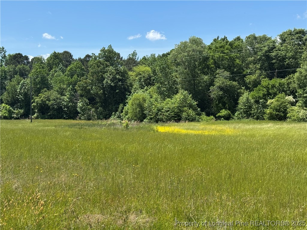 0 Pea Ridge Road New Hill, NC 27562 - Photo 3 of 5 Gallery Image 3