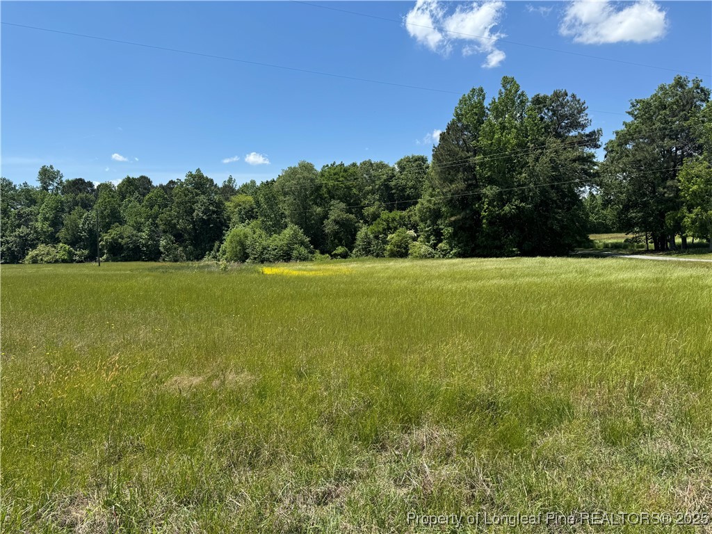 0 Pea Ridge Road New Hill, NC 27562 - Photo 4 of 5 Gallery Image 4