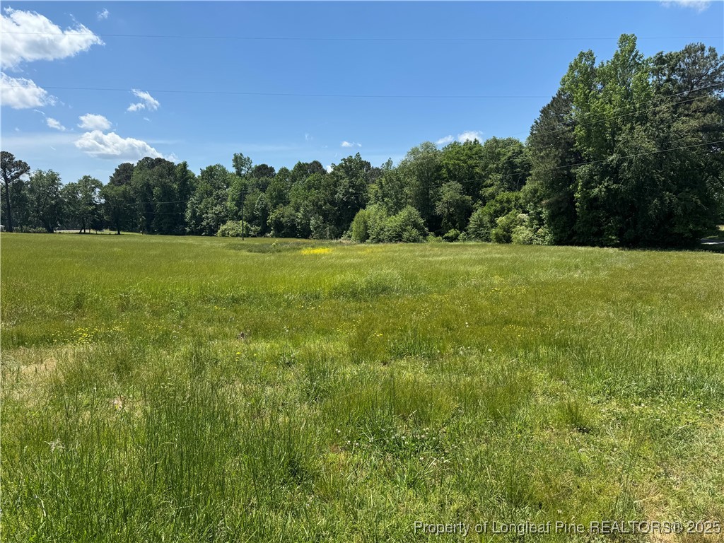 0 Pea Ridge Road New Hill, NC 27562 - Photo 5 of 5 Gallery Image 5