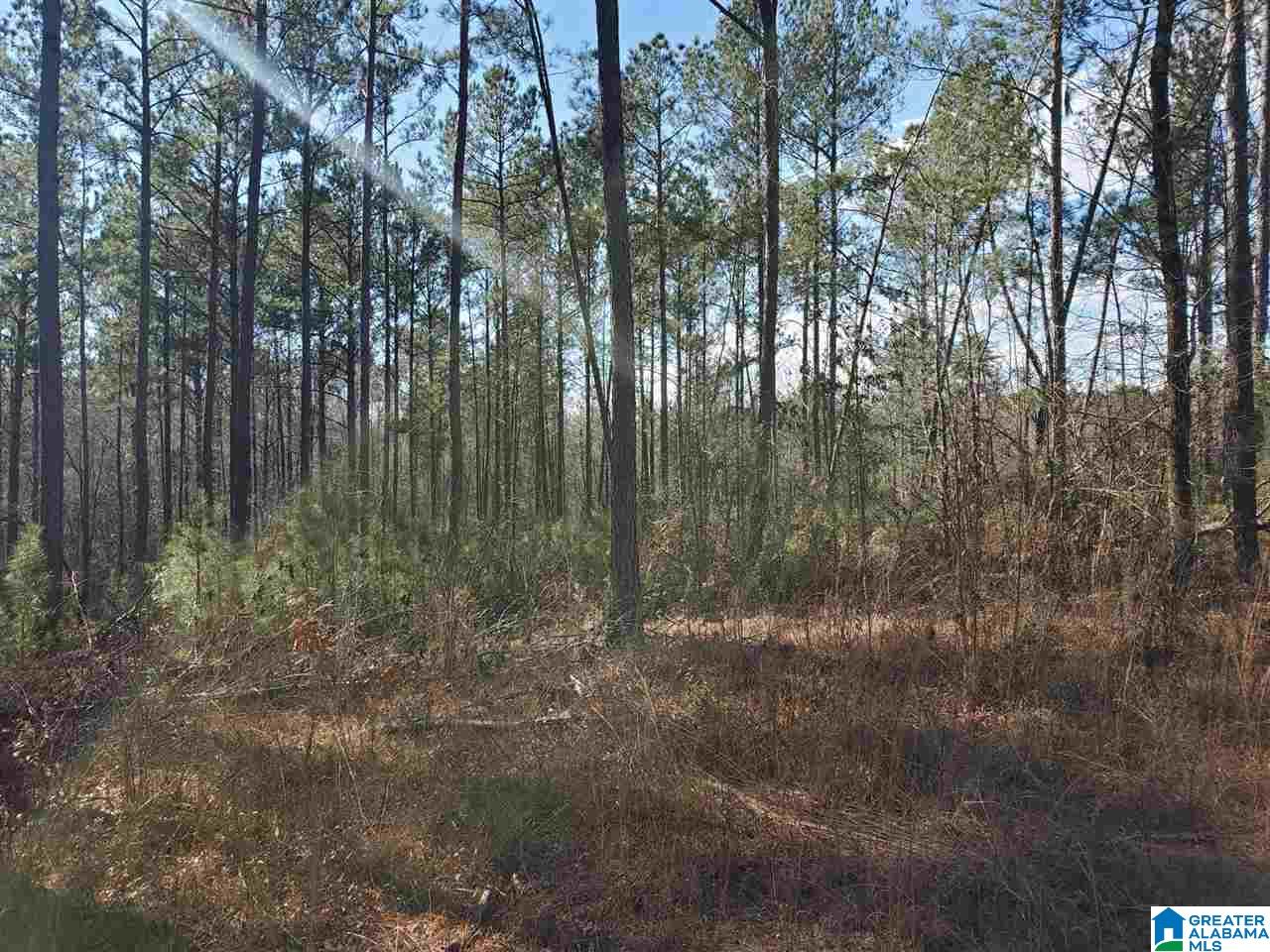 .2 Gould Road, Unit 3 Columbiana, AL 35051 - Photo 7 of 11