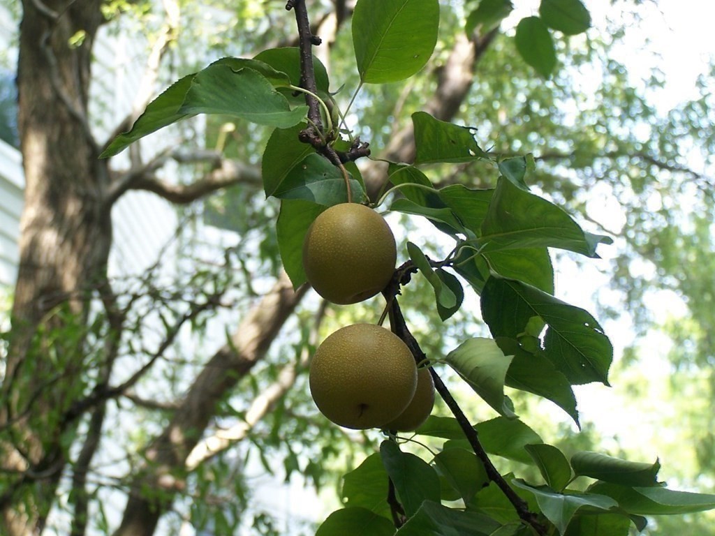 89 University Road Brookline, MA 02445 - Photo 40 of 41