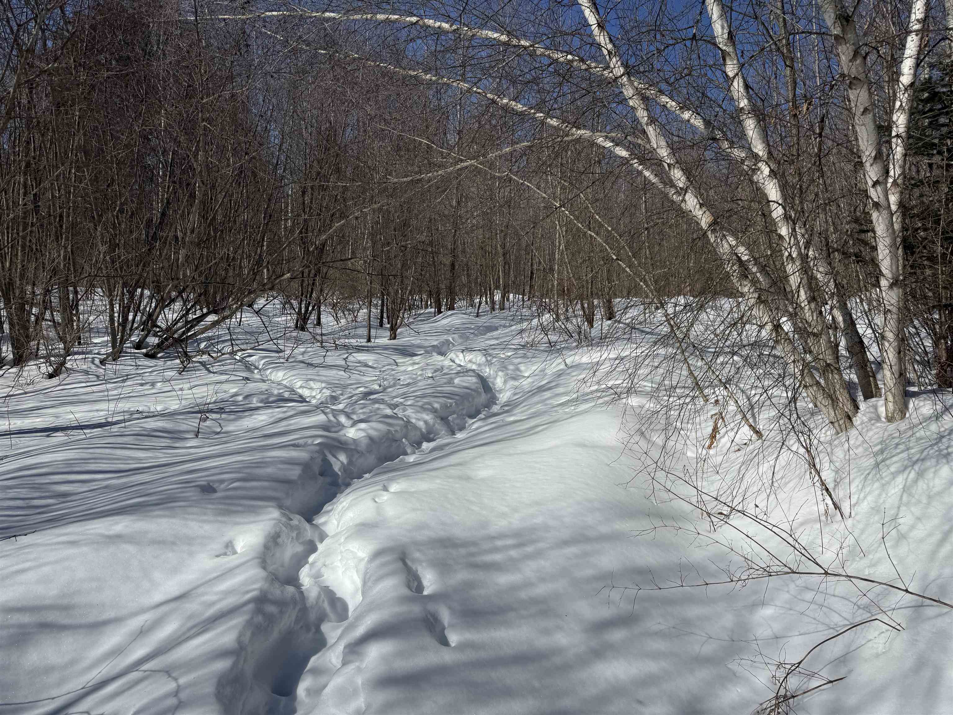 0 Coventry Street Newport, VT 05855 - Photo 39 of 50