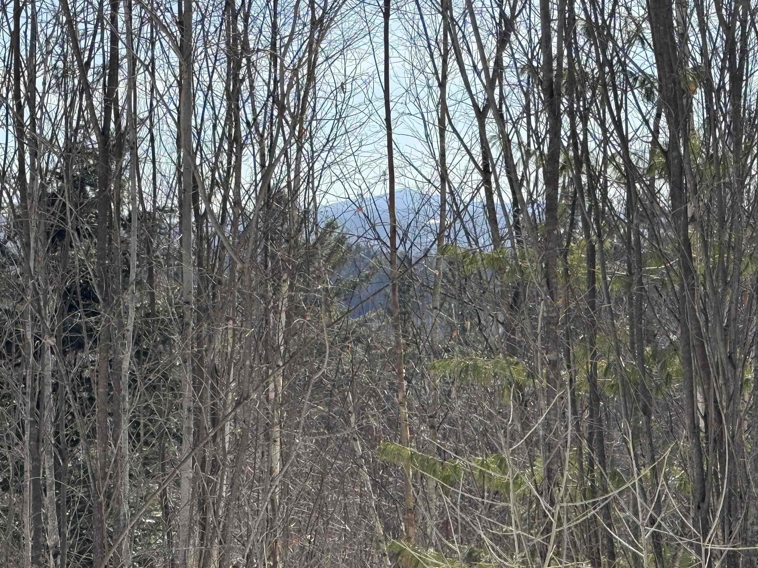 0 Coventry Street Newport, VT 05855 - Photo 40 of 50