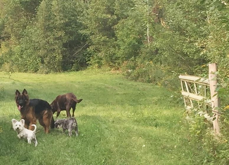 0 Coventry Street Newport, VT 05855 - Photo 50 of 50