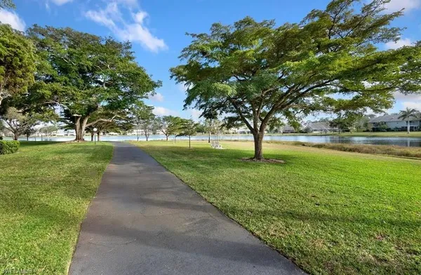 a huge green field with lots of bushes