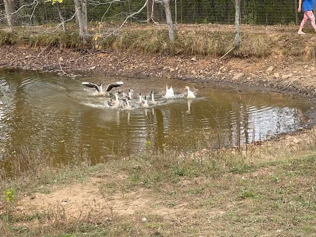 a view of a lake view