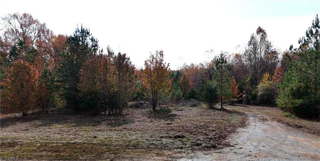 254 Wayne Gobble Road Linwood, NC 27299 - Photo 6 of 6