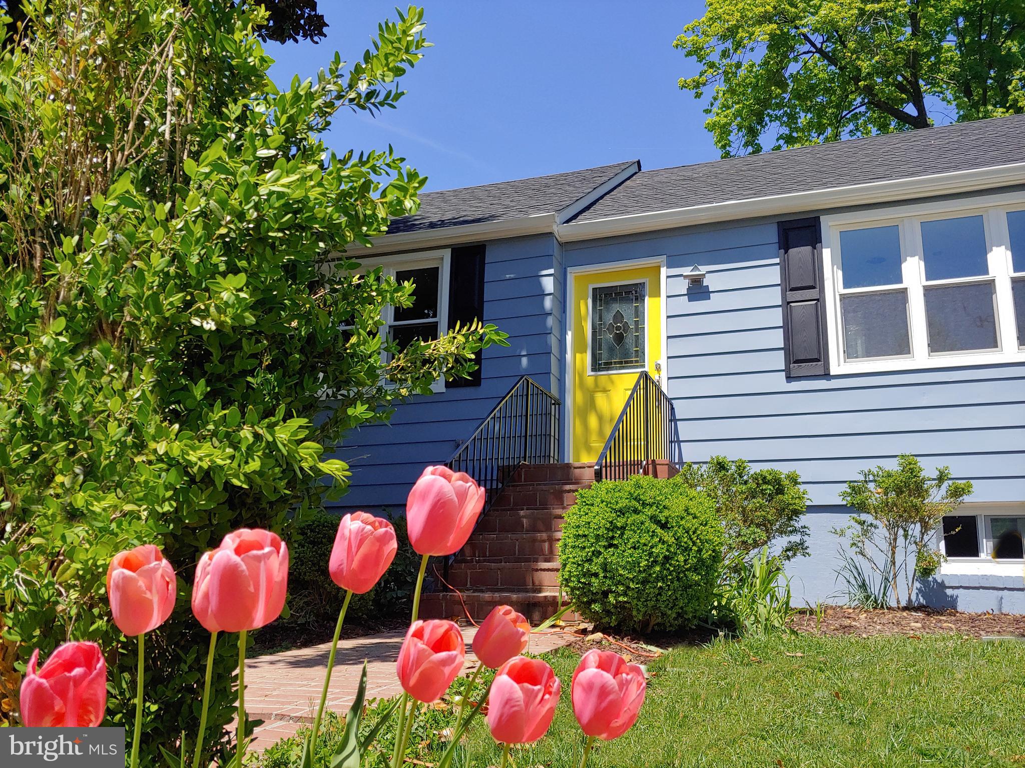 2630 East Maple Street Alexandria, VA 22306 - Photo 2 of 28 Curb Appeal