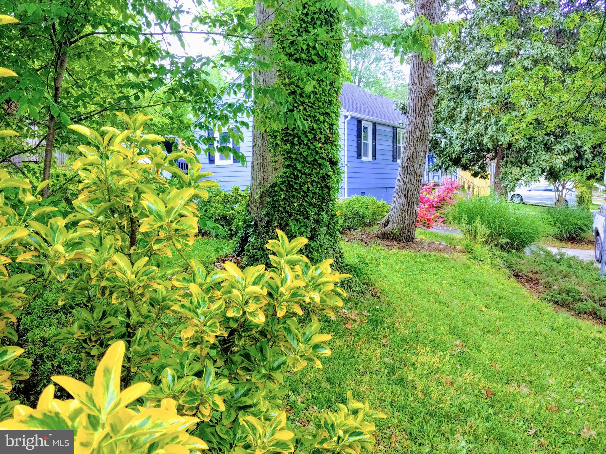 2630 East Maple Street Alexandria, VA 22306 - Photo 26 of 28 Large Corner Lot