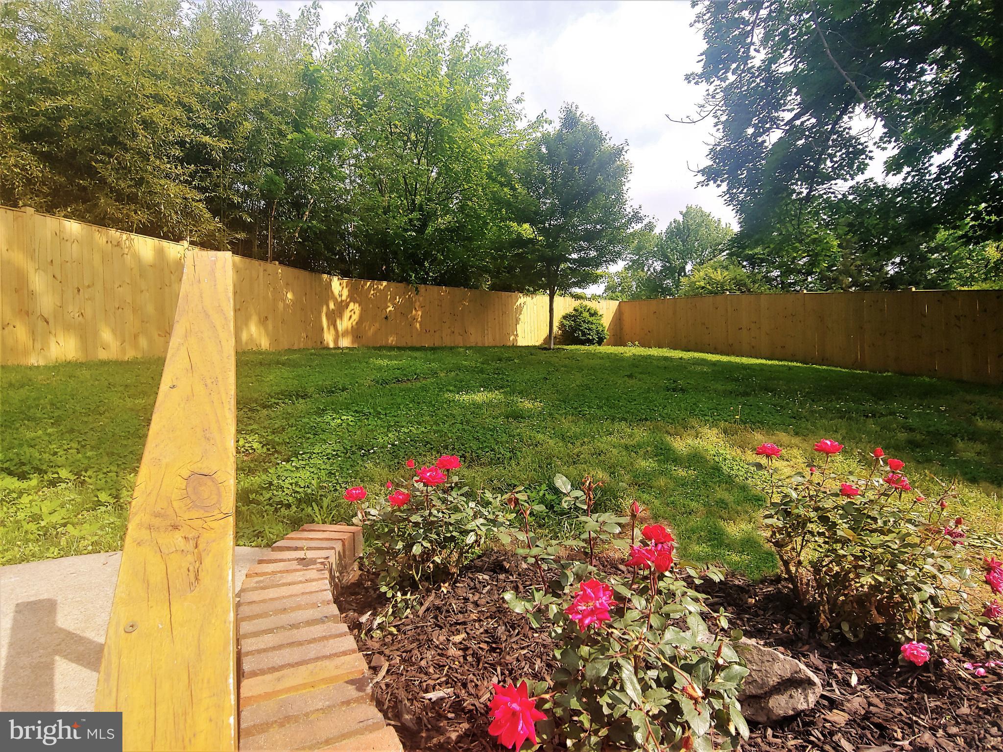 2630 East Maple Street Alexandria, VA 22306 - Photo 27 of 28 Fully Fenced Yard with Concrete Patio