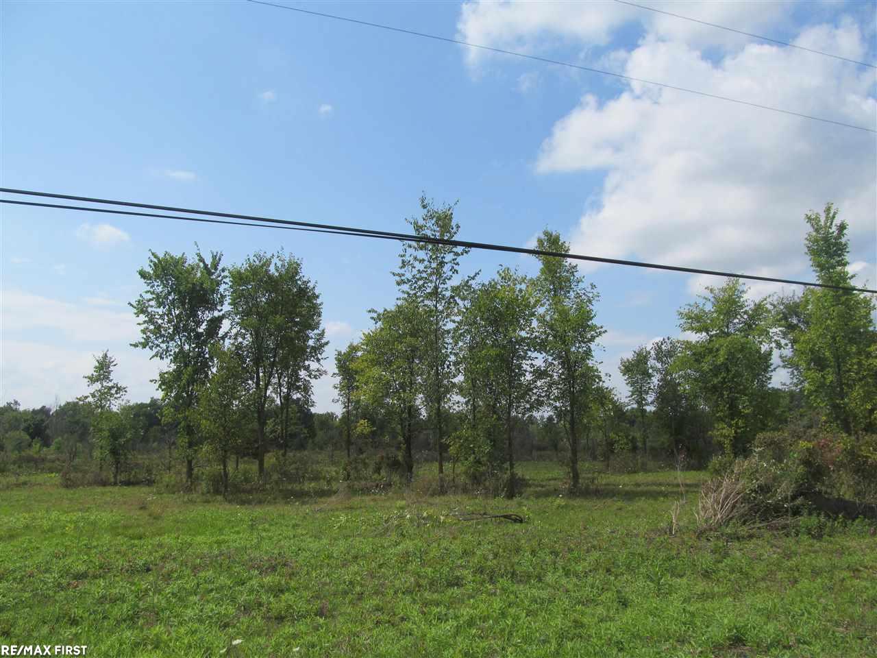 62595 Place Road New Haven, MI 48048 - Photo 1 of 10 Gallery Image 1