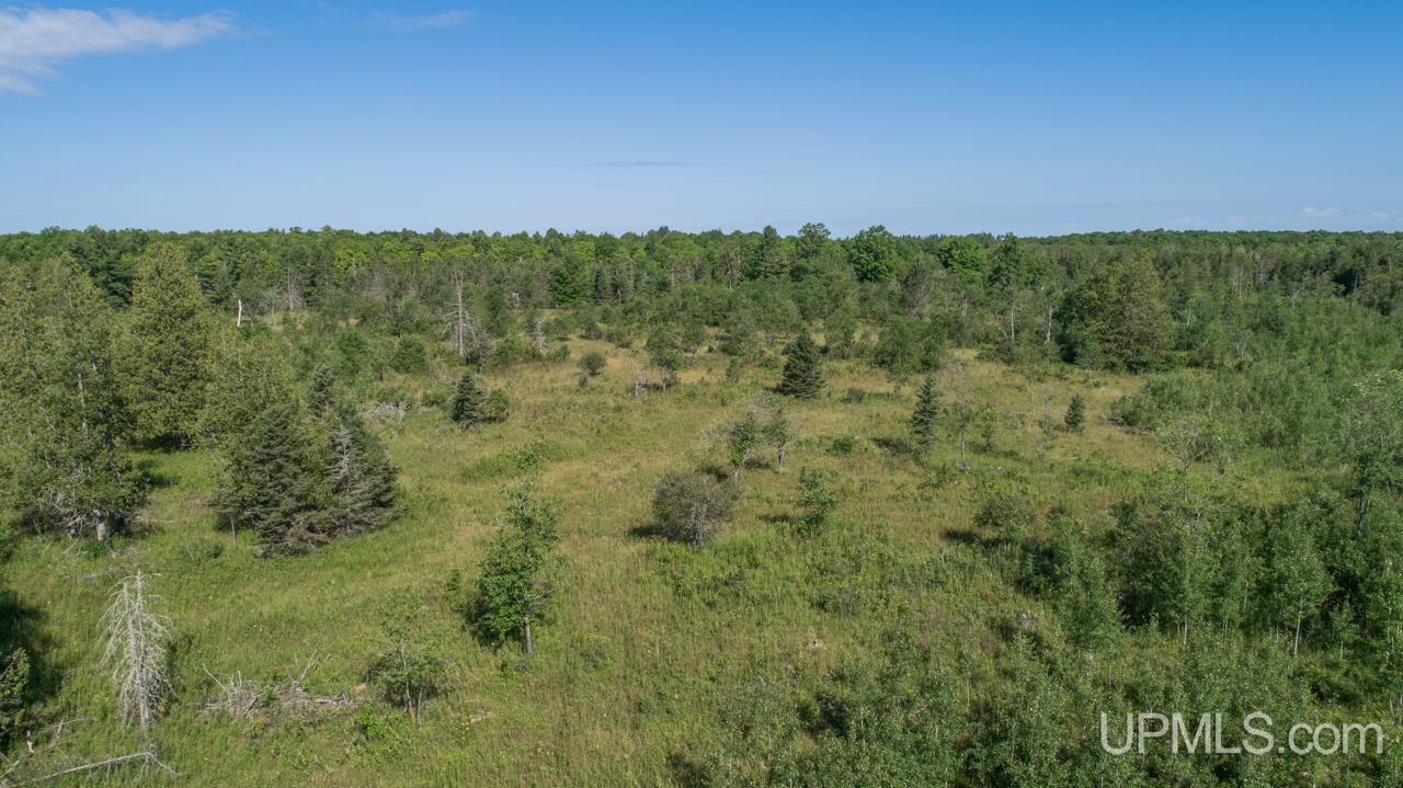 Tbd 80-acres 30th Road Rapid River, MI 49878 - Photo 17 of 17