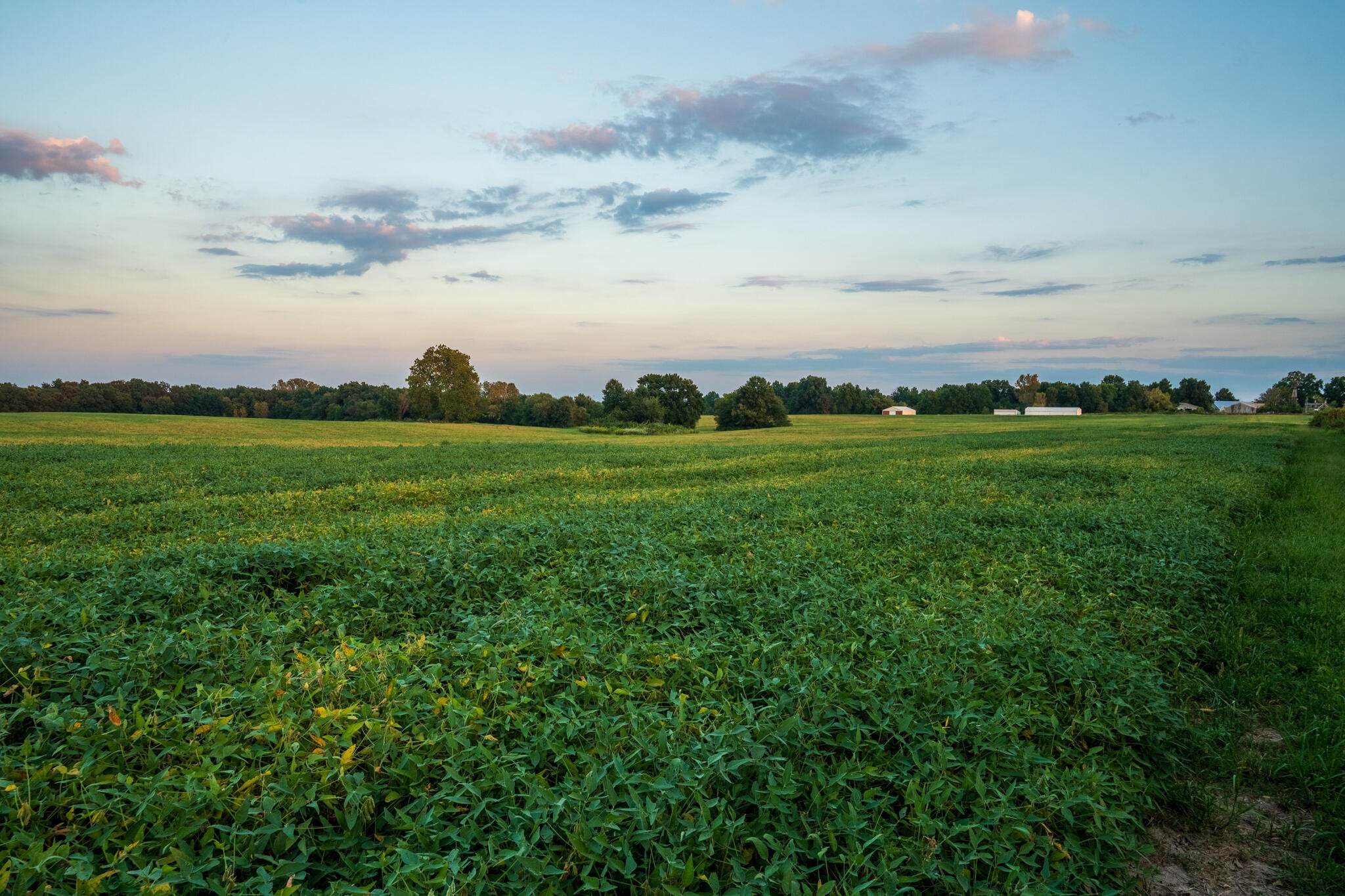 0 State Rd HH New Bloomfield, MO 65063 - Photo 17 of 18 Gallery Image 17