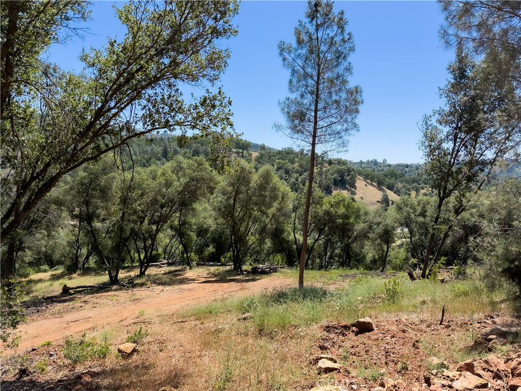 10 Miller Road Mariposa, CA 95338 - Photo 29 of 34 a view of a yard with a tree