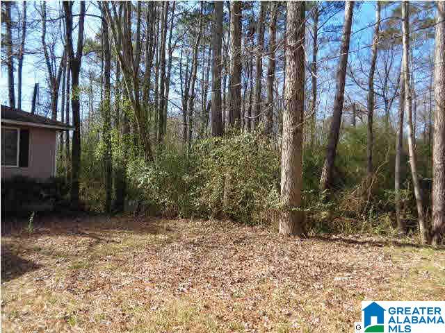 204 Riverside Drive Trussville, AL 35173 - Photo 2 of 10