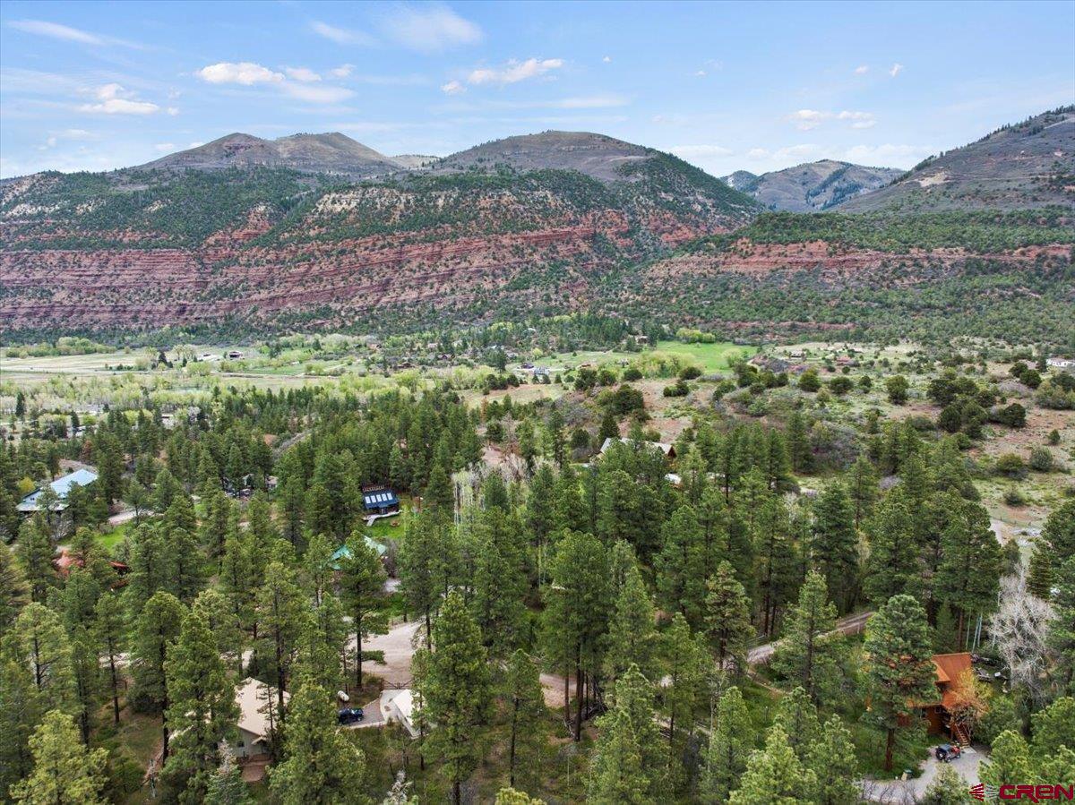 3153 County Road 17 Ridgway, CO 81432 - Photo 31 of 34